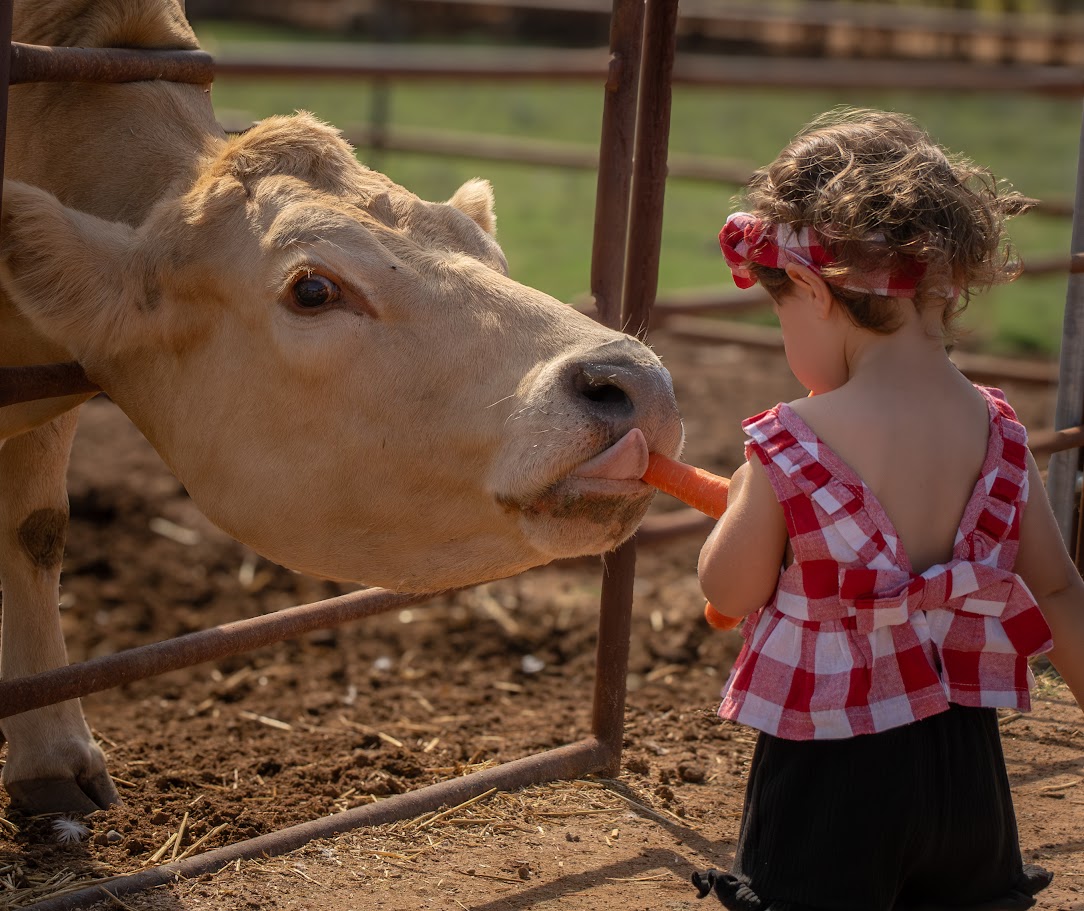 Mother Nature’s Farm