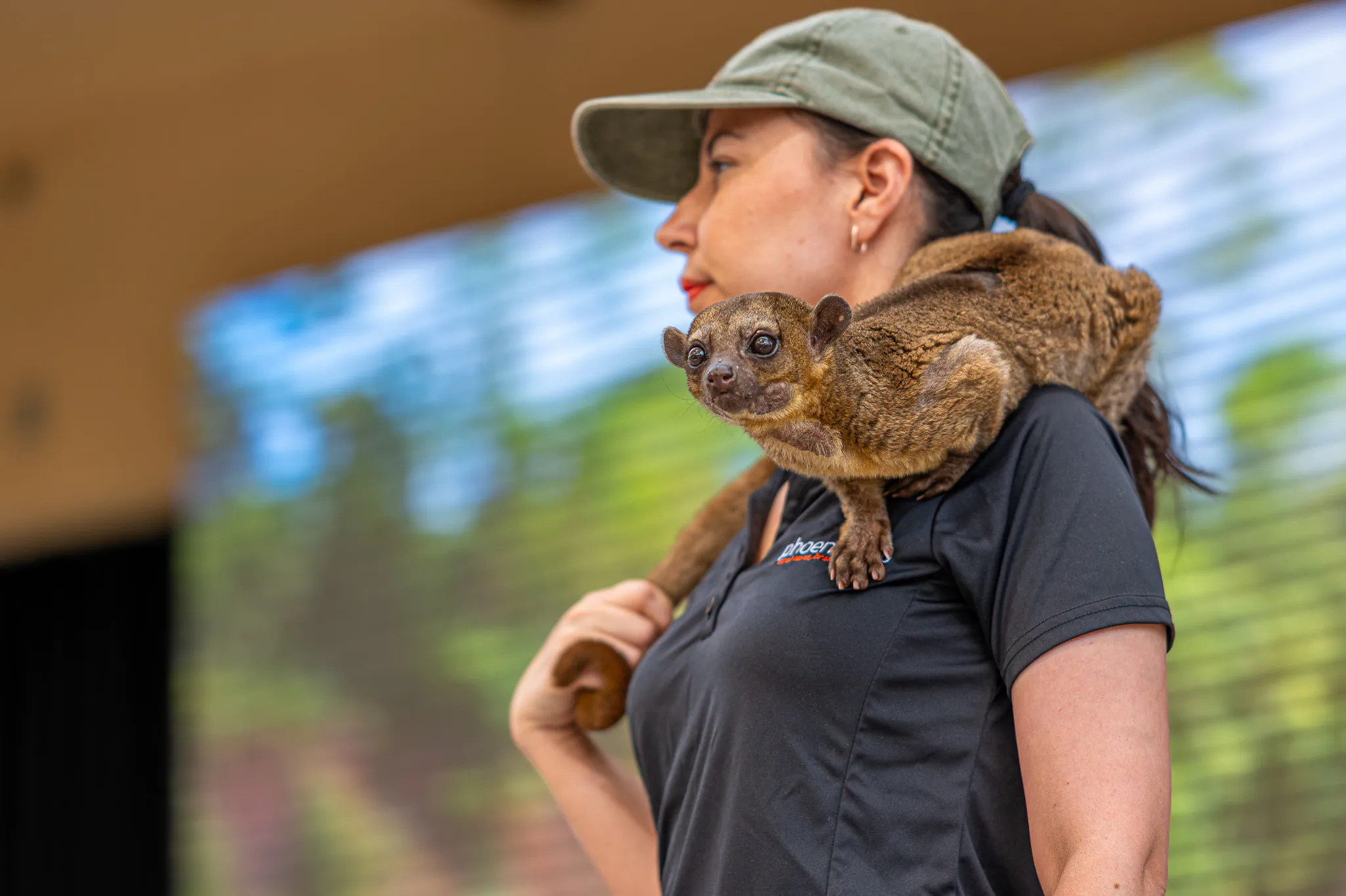 Phoenix Zoo