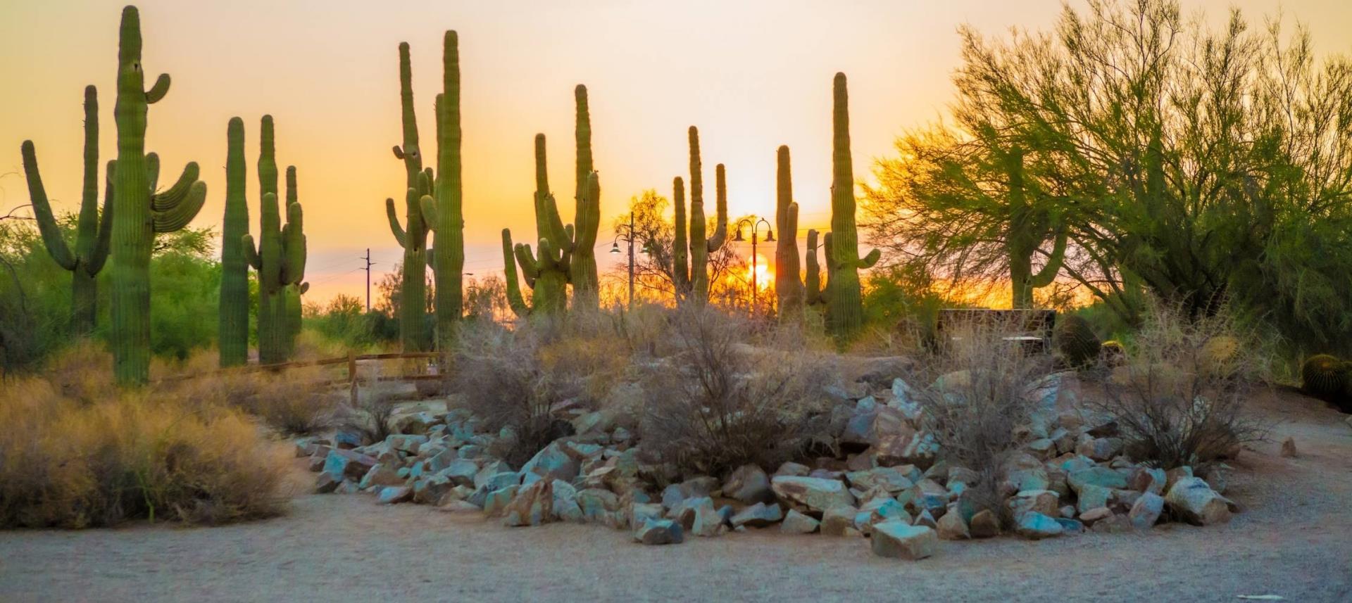 Riparian Preserve at Water Ranch