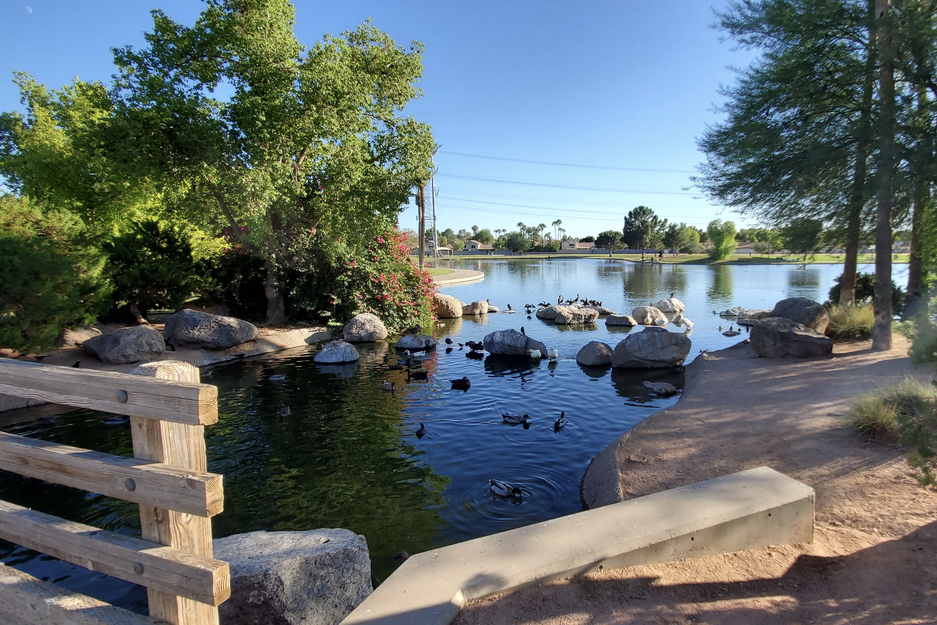 Freestone District Park