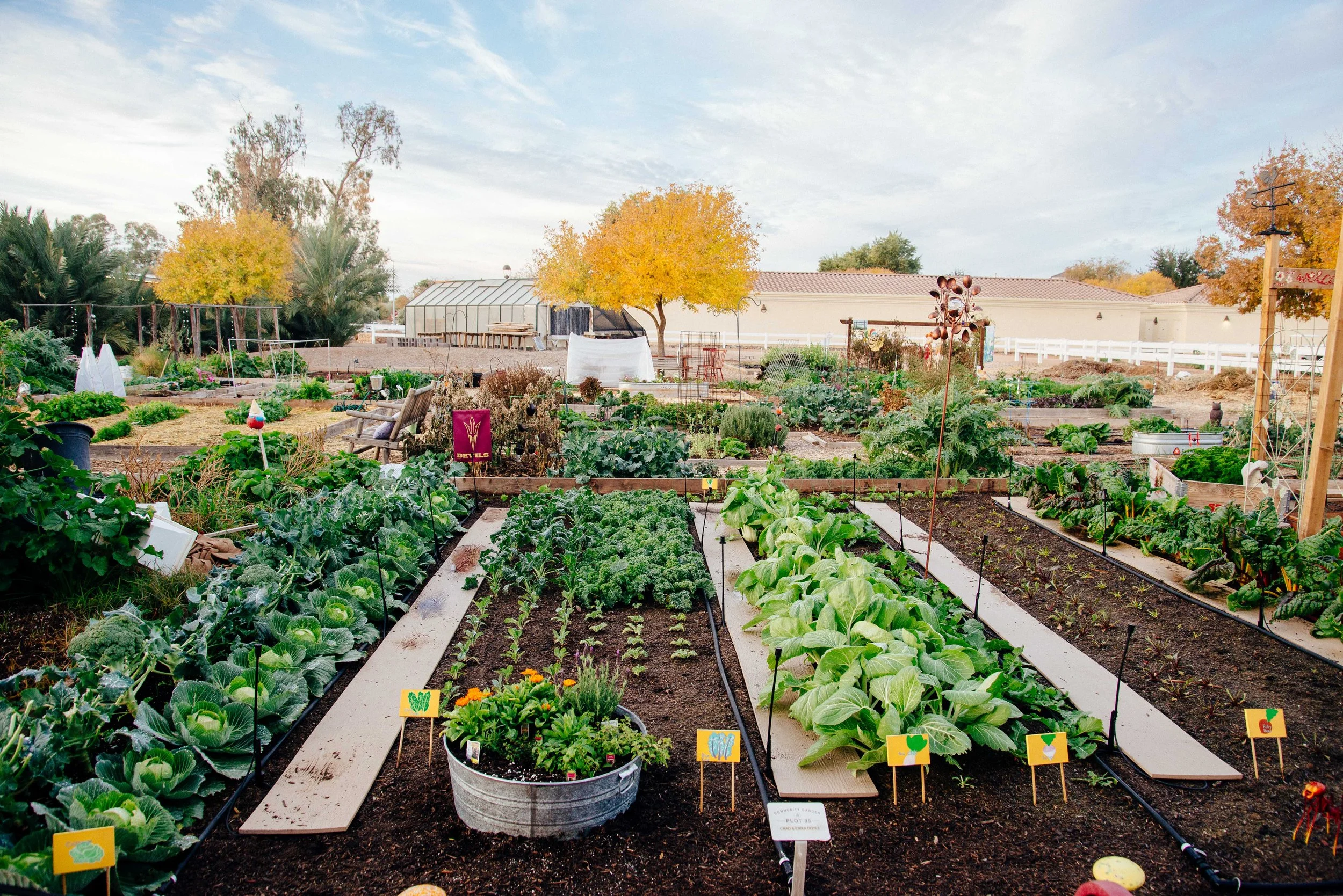 Agritopia Farm